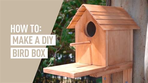 how to make a simple bird box