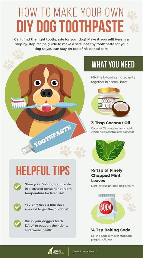 How To Make A Simple Dog Toothpaste