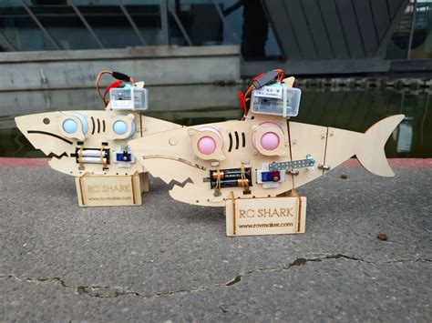 How To Make A Simple Robot Fish