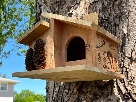 How To Make A Squirrel Nesting Box