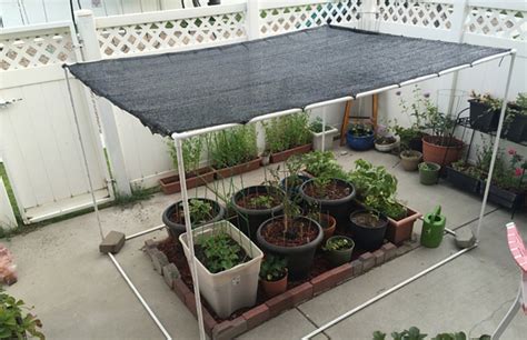 how to make a sun shade for plants