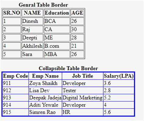 How To Make A Table In Html With Border