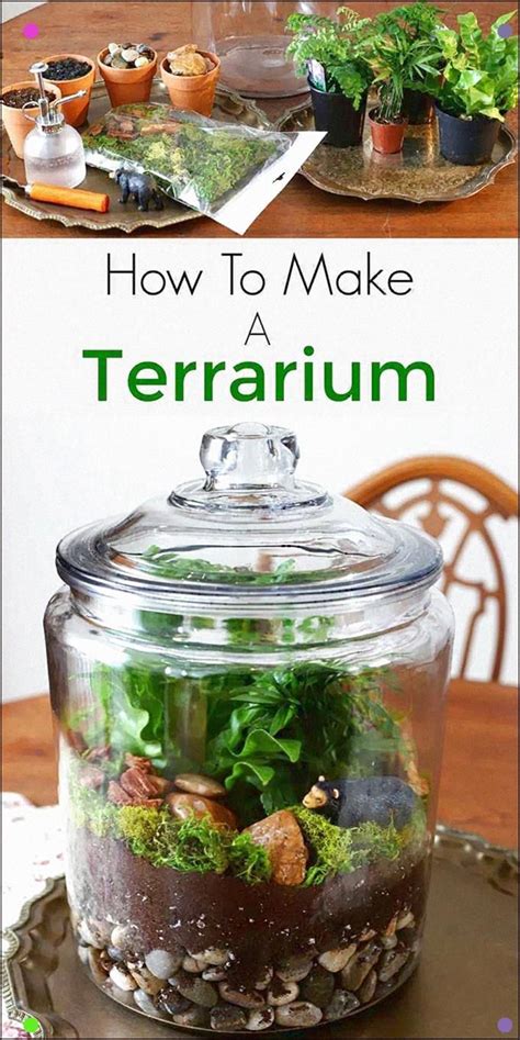 how to make a terrarium instructions