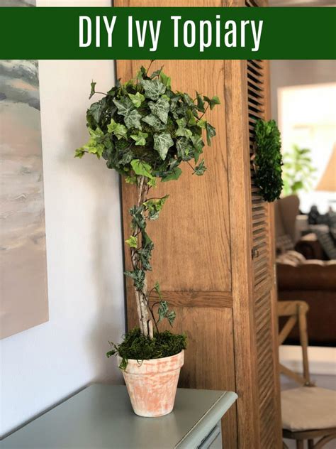How To Make A Topiary With Ivy
