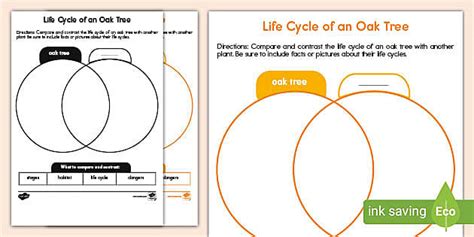 How To Make A Tree Venn Diagram