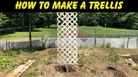 How To Make A Trellis Out Of Lattice