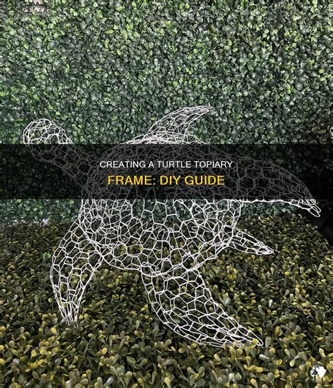 How To Make A Turtle Topiary Frame