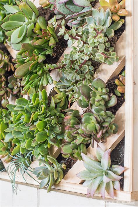 How To Make A Vertical Succulent Planter