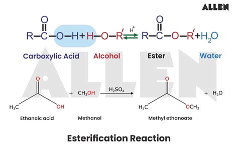 How To Make An Ester