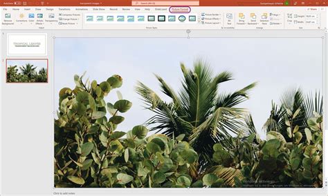 how to make an image background transparent in ppt