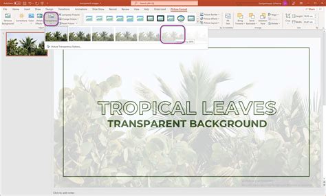 how to make an image transparent in ppt