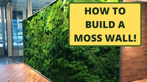 How To Make Artificial Moss Wall