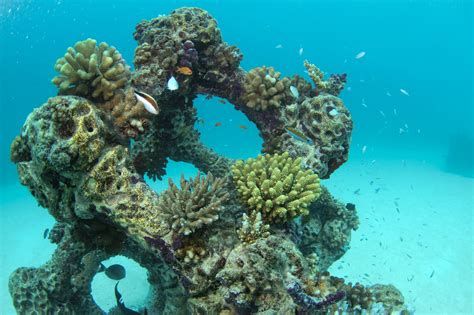 How To Make Artificial Reef Rock