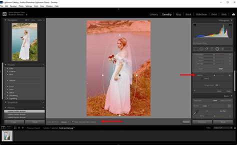 How To Make Background Blurry In Adobe Lightroom