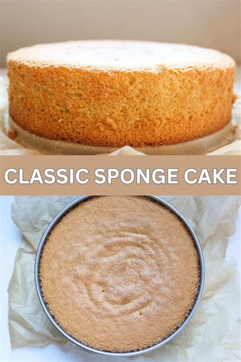 How To Make Basic Cake Sponge