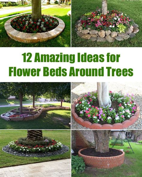 How To Make Beds Around Trees