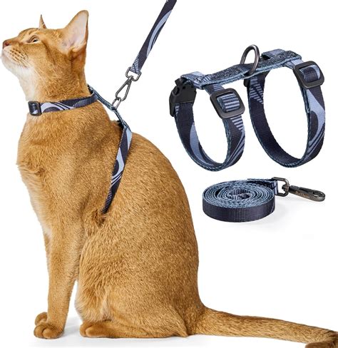How To Make Cat Comfortable In Harness