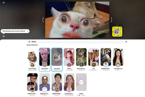 How To Make Cat In Zoom