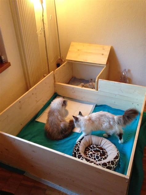 How To Make Cat Nesting Box
