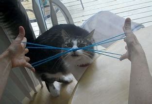 How To Make Cat Whiskers With String Step By Step
