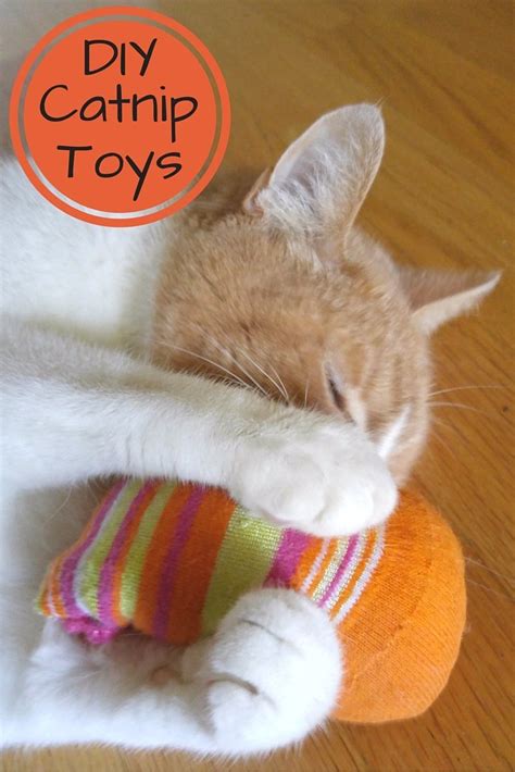 How To Make Catnip Toys Out Of Socks