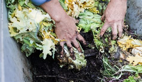 How To Make Compost Decompose Faster