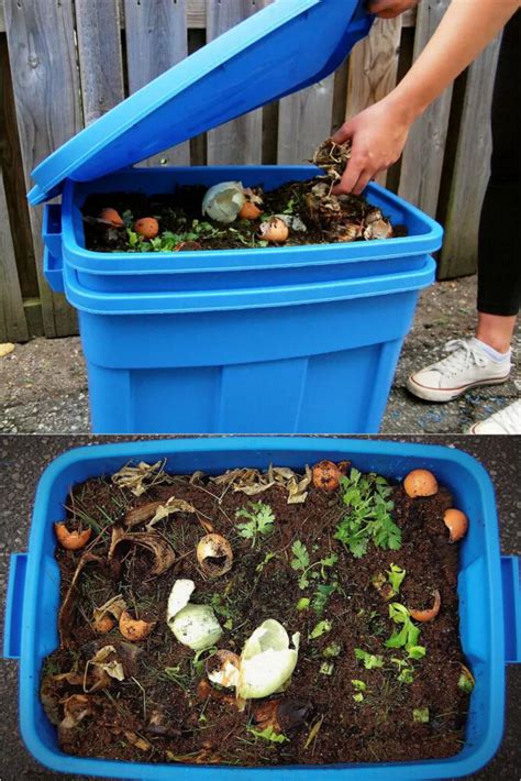 How To Make Compost In A Small Container