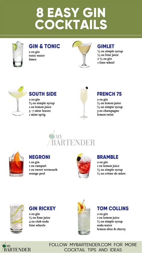 How To Make Drinks With Gin