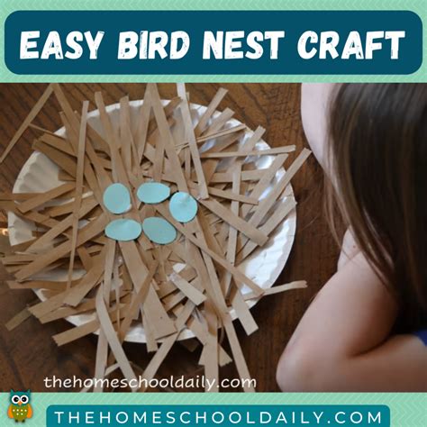 How To Make Easy Nest