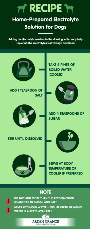How To Make Electrolyte Solution For Dogs