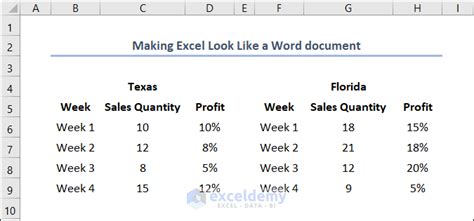 how to make excel sheet look like software