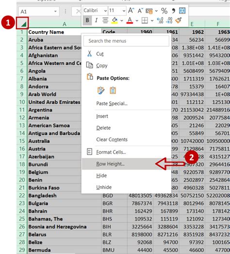 how to make expand rows in excel