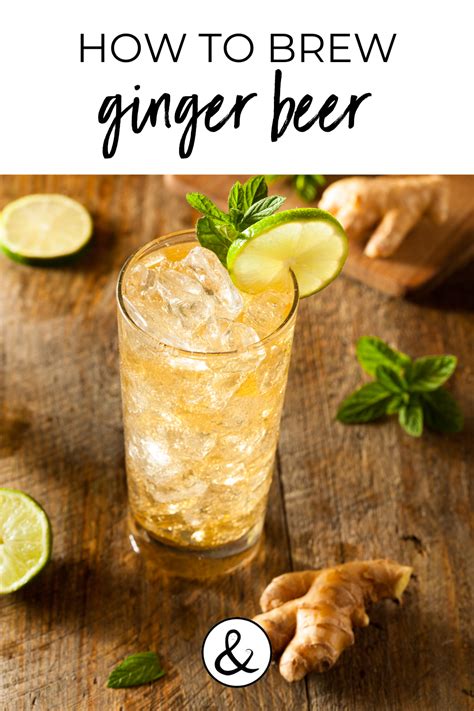 how to make fresh ginger beer