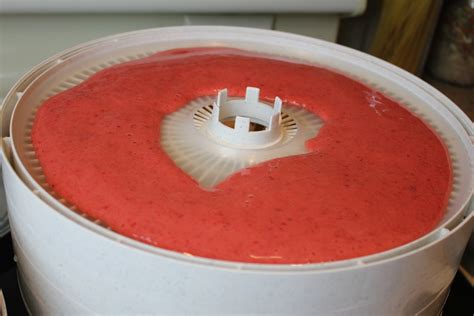 How to Make Fruit Leather with a Food Dehydrator Homemade rollups
