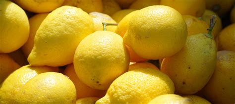 How To Make Garbage Disposal Smell Better With Lemon