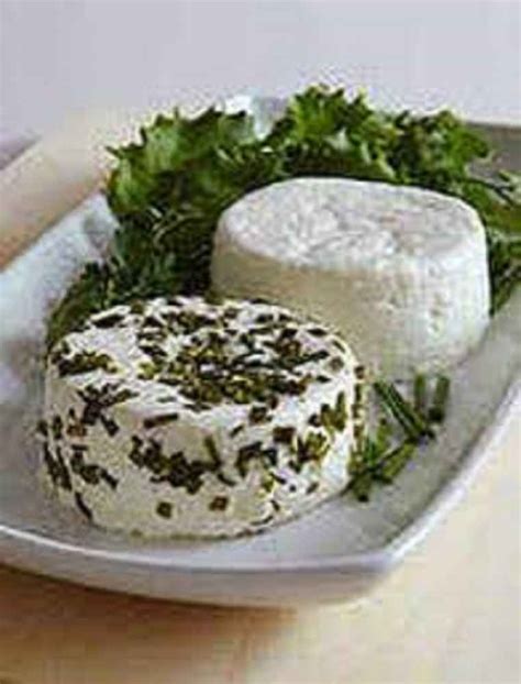how to make goat cheese with vinegar