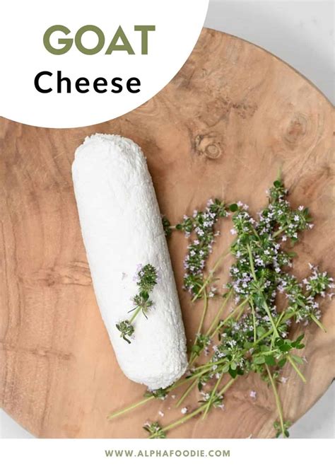 how to make goat milk cheese