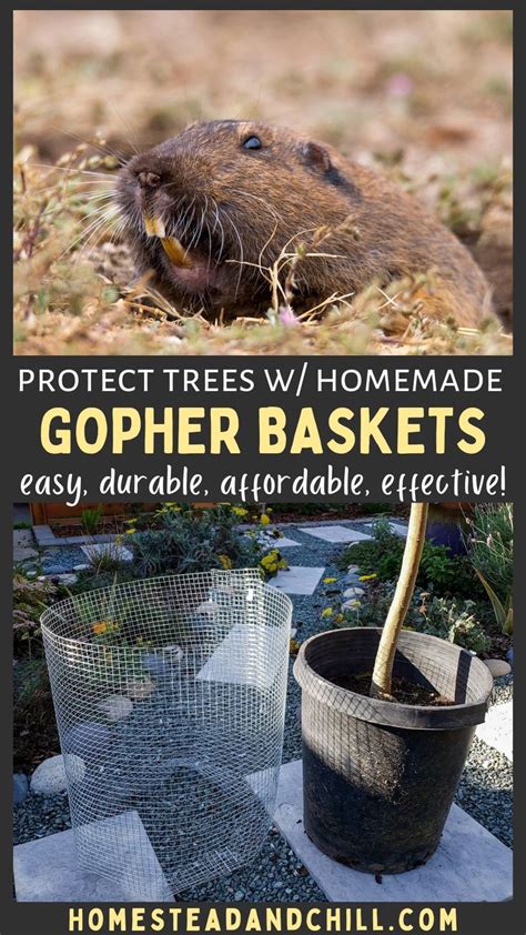 How To Make Gopher Baskets