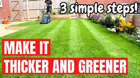 How To Make Grass Green