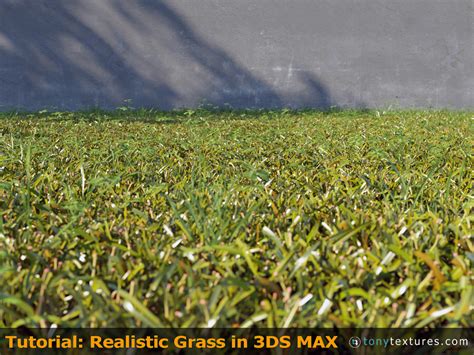 How To Make Grass Texture In 3Ds Max