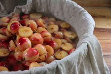 How To Make Hard Cider From Crab Apples