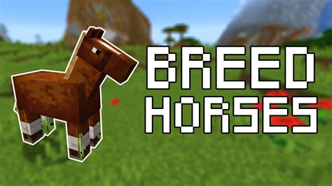 how to make horse breed