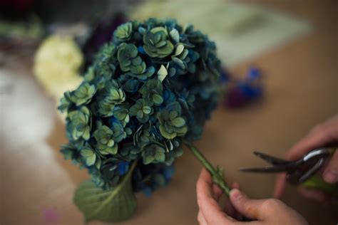 How To Make Hydrangeas Last In A Vase
