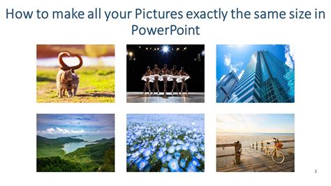 how to make images in ppt the same size
