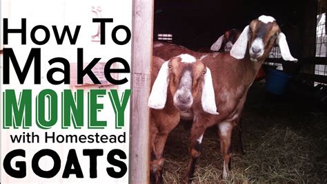 how to make money off of goats