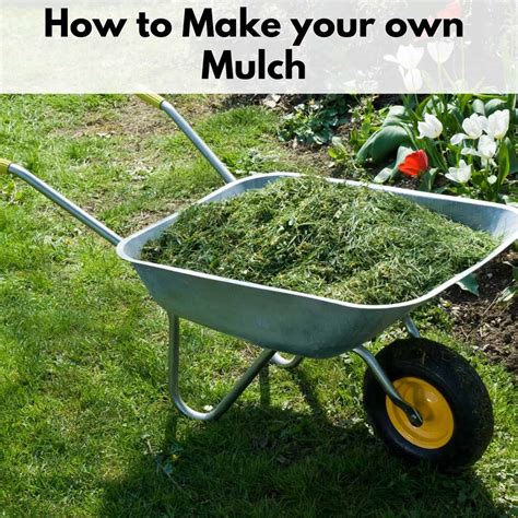 How To Make Mulch In Garden