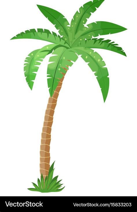 How To Make Palm Tree Vector
