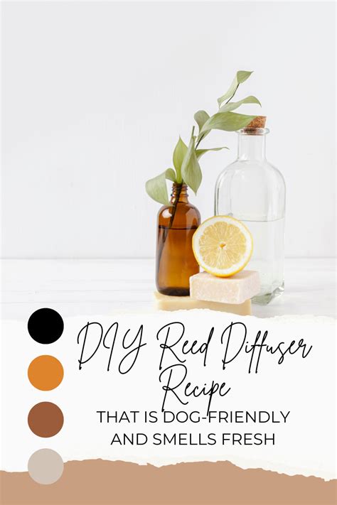 How To Make Reed Diffuser With Dog