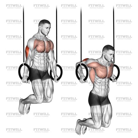 How To Make Ring Dips Easier