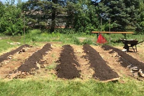 how to make rows in garden